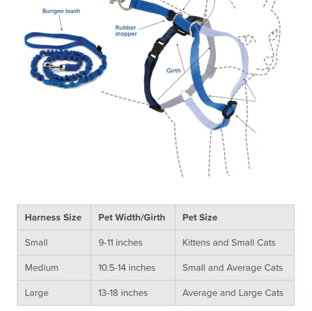 Harness & bungee leash set - Size small